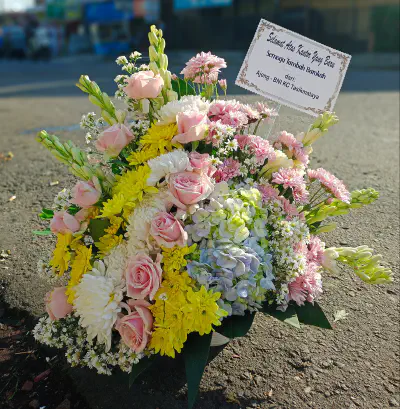 Tanaman Berbunga yang Cocok untuk Dalam Ruangan