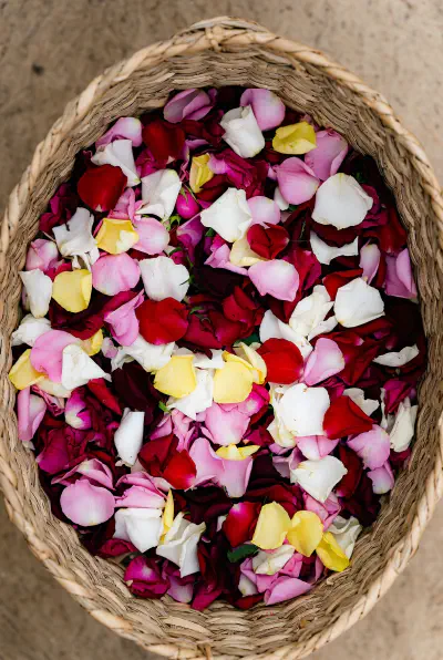 7 Kesalahan Umum Saat Merawat Bunga di Rumah