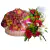 Fruit Fiesta Bloom