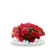 Scarlet Passion