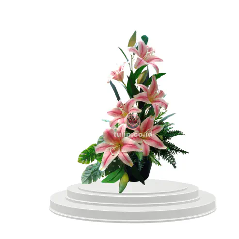 Lily Ethereal