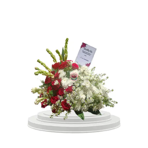 Red and White Symphony