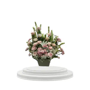 Sweet Blush Collection