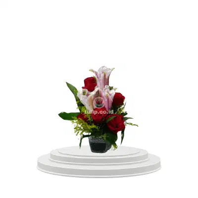 Velvet Flowers