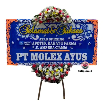 Langkah Pasti