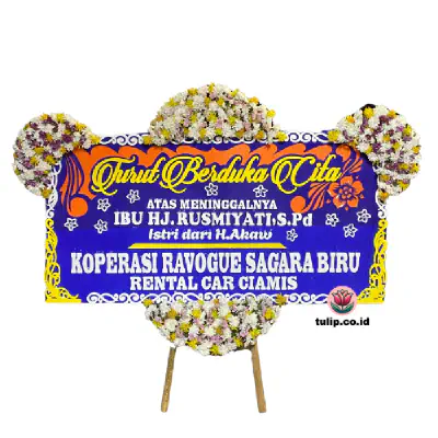 Bintang Jatuh