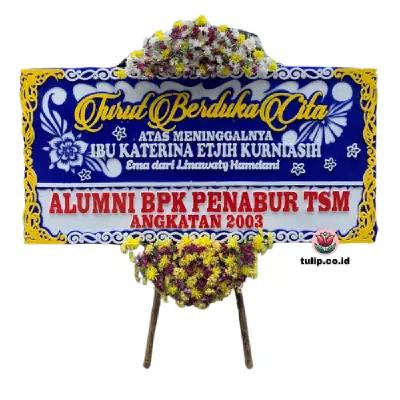 Hampa Tanpa Batas