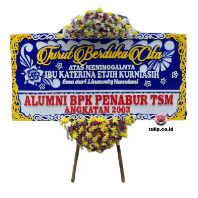 Hampa Tanpa Batas