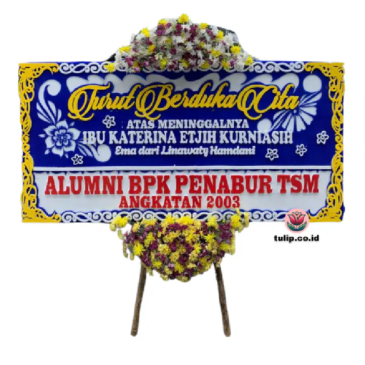 Hampa Tanpa Batas