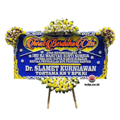 Kesedihan Berkabut