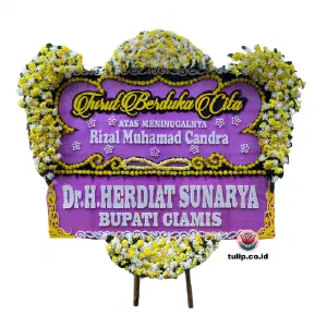 Nurani Suci
