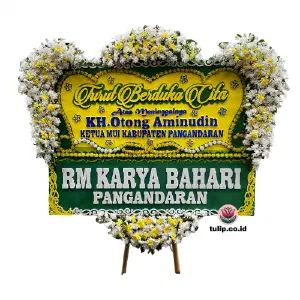 Redup Cahaya