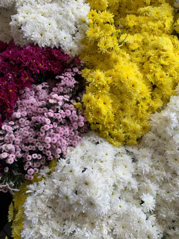 Apakah Toko Bunga Bisa Kirim di Hari Libur Nasional?