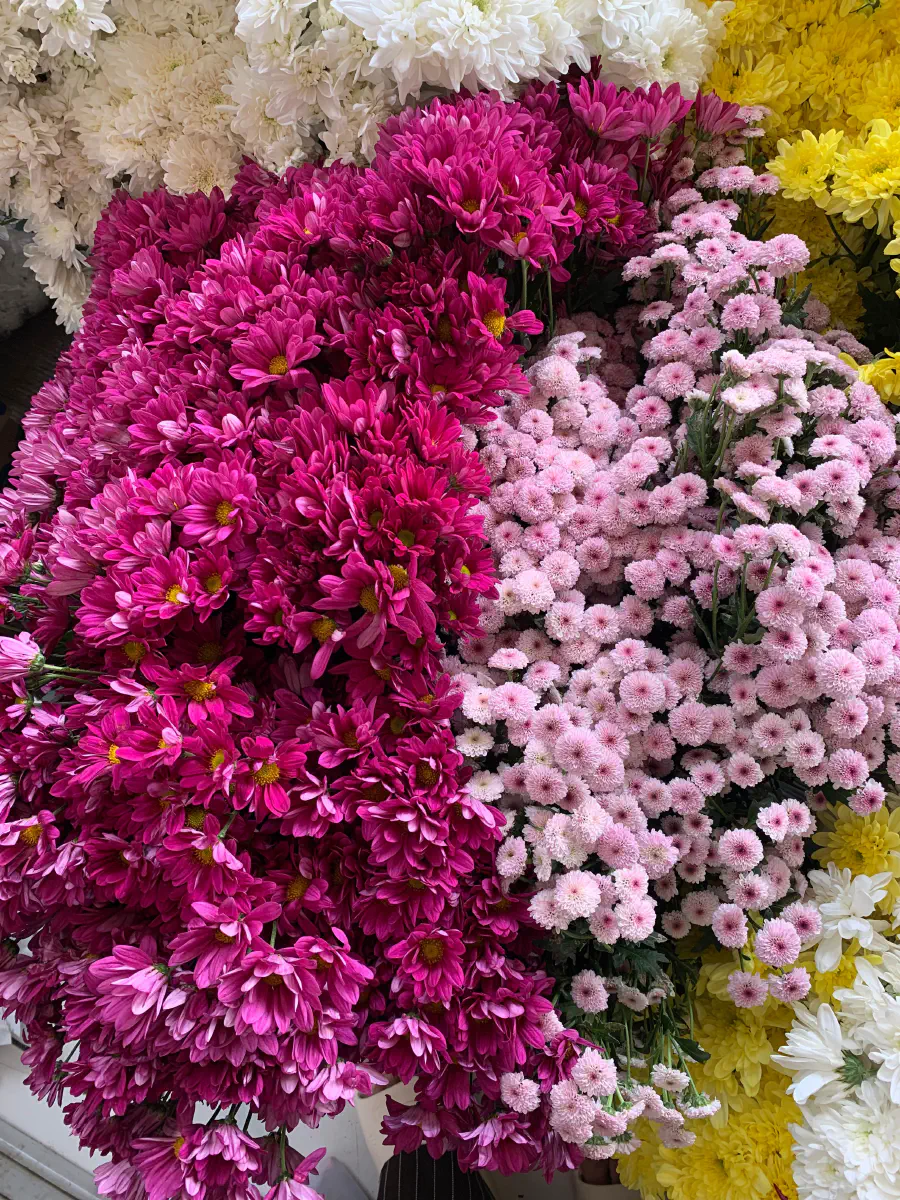 Cara Menyimpan Bunga di Kulkas Agar Tetap Fresh