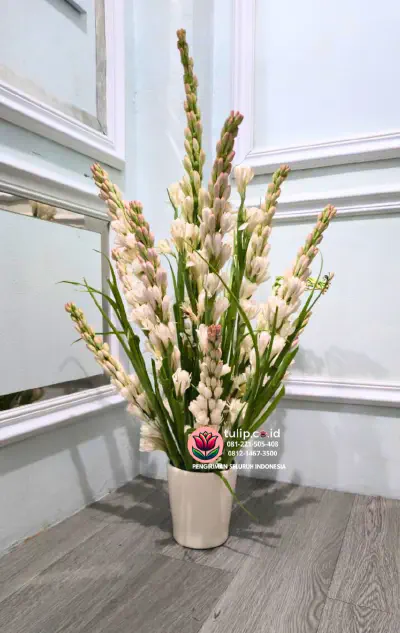 Rahasia Aliran Energi Positif Melalui Bunga